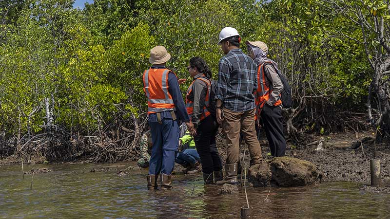 Tim marves monitoring mangrove 3
